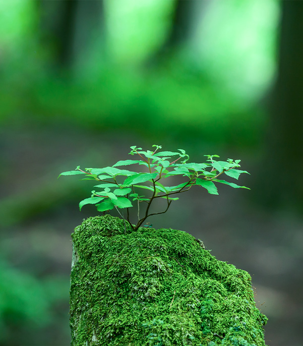 社會(huì)責(zé)任
